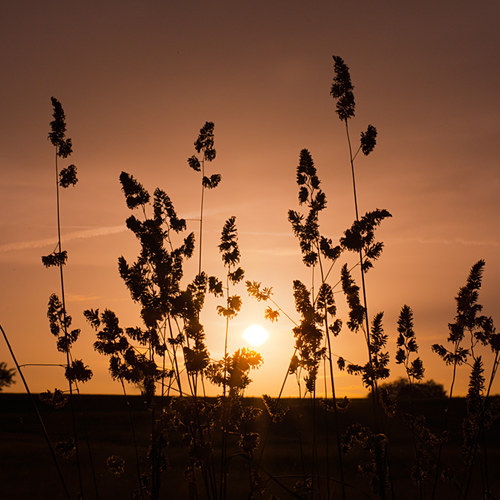 Sonnenuntergang