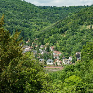 Aussicht auf Heidelberg