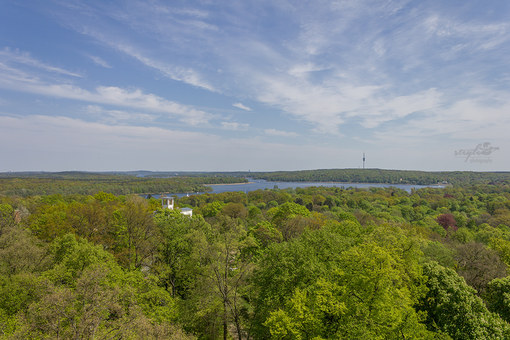 Aussicht vom Belvedere