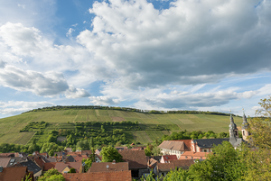 Weinberg, Gerlachsheim